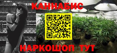 шишки Балашиха