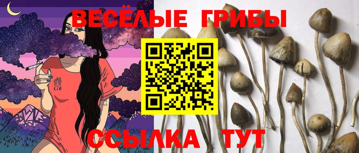 Галлюциногенные грибы прущие грибы  Вход с VPN  Добрянка 