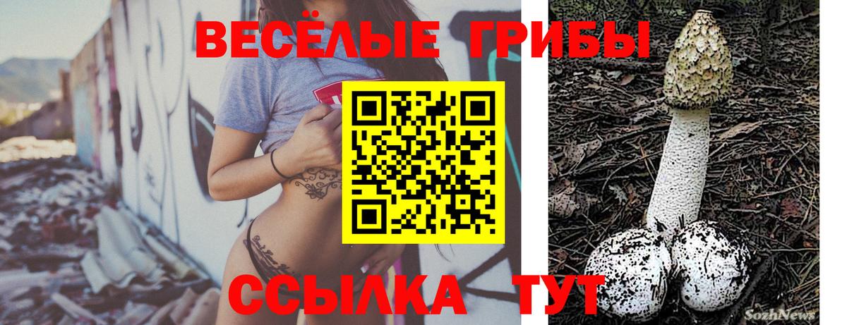 Галлюциногенные грибы мицелий Добрянка